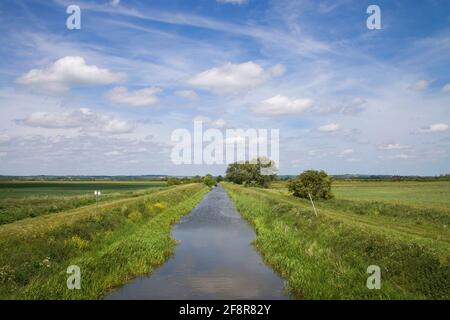 À l'ouest côté fen catchwater vidanger dans le Lincolnshire Banque D'Images