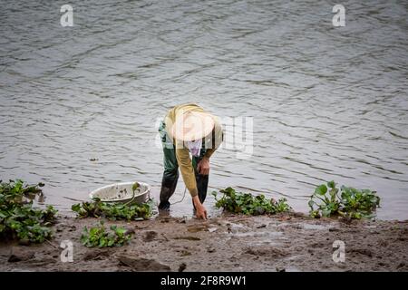 Belle photo avec des vietnamiens en chapeau conique dans le parc national Tam COC, Ninh Binh au Vietnam. Paysage rural photo prise en Asie du Sud-est. Banque D'Images