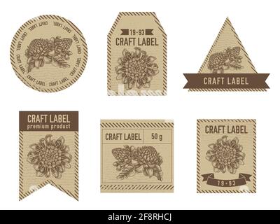 Étiquettes artisanales de conception vintage avec illustration de etlingera Illustration de Vecteur