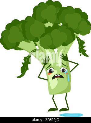 Personnages de brocoli mignons avec pleurs et larmes émotions, visage, bras et jambes. Le héros drôle ou triste, le légume vert ou le chou Illustration de Vecteur