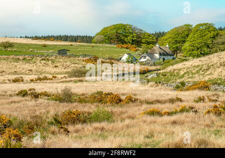 Ferme isolée au parc national de Dartmoor, Devon, Angleterre, Royaume-Uni Banque D'Images