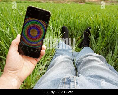 Repose sur l'herbe. Banque D'Images