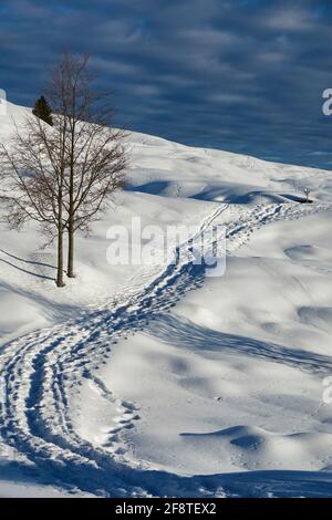 paysage d'hiver avec des empreintes de pas dans la neige le long du chemin, le soleil bas et un ciel bleu nuageux Banque D'Images