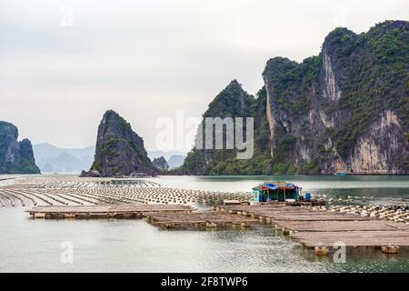 Magnifique paysage de Bai Tu long Bay, pris pendant la croisière à Quan LAN Island, Vietnam. Pearl Farming paysage de bord de mer photo prise dans le sud-est de l'Asie, Banque D'Images