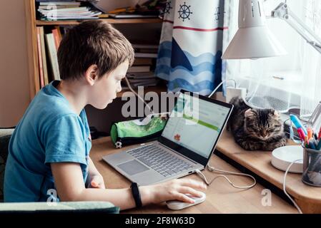 Garçon d'école utilisant son ordinateur portable tout en ayant une leçon en ligne à la maison avec un animal de compagnie qui dormait sur la table Banque D'Images