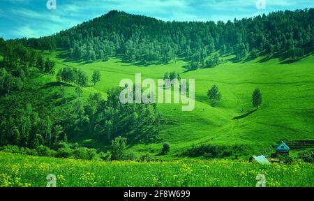 L'Altaï montagne. Katyn Chuisky valley Banque D'Images