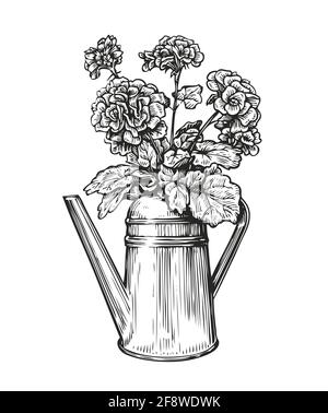 Fleurs dans un pot. Bouquet et arrosoir en style esquisse. Illustration vectorielle vintage de jardinage Illustration de Vecteur