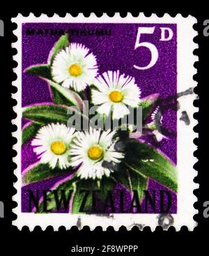 MOSCOU, RUSSIE - 1 OCTOBRE 2019: Timbre-poste imprimé en Nouvelle-Zélande montre la Marguerite de montagne (Celmisia coriacea), série de définitions, 5 d - ne Banque D'Images