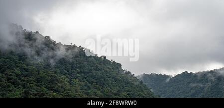 Panorama de la forêt nuageuse, Mindo, Equateur. Banque D'Images