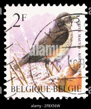 MOSCOU, RUSSIE - 1er OCTOBRE 2019 : le timbre-poste imprimé en Belgique montre Redwing (Turdus iliacus), série oiseaux de Buzin, vers 1996 Banque D'Images