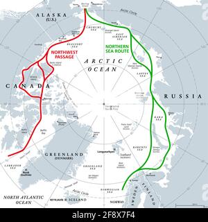 Routes de l'océan Arctique, carte politique grise. Voies de navigation dans l'Arctique. Passage du Nord-Ouest et route de la mer du Nord. Voies maritimes, utilisées par les navires. Banque D'Images