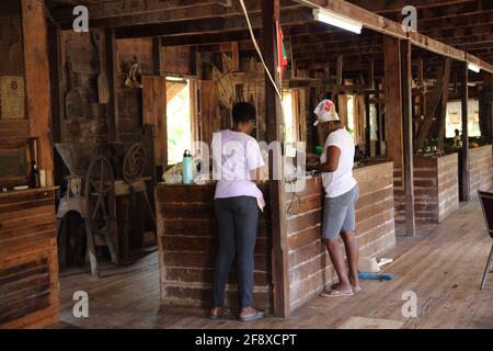 Dougaldston Estate Grenada Spice Plantation Cocoa Station femmes travaillant Épices à l'intérieur du Boucan historique qui a été détruit depuis Par feu dans Banque D'Images