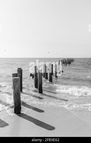 Old Pier pilings Naples, Floride, États-Unis Banque D'Images