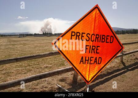 Une brûlure massive contrôlée ou prescrite (interdite), dans la forêt nationale de Deschutes près de la ville de Sisters, Oregon, brûle sous-broussailles et autres f Banque D'Images