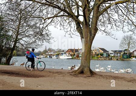 Une jeune mère sur son vélo avec un enfant assis sur un siège de vélo regardant les cygnes au bord de la rivière à Walton on Thames, Surrey Angleterre Royaume-Uni Banque D'Images