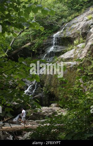 Belle eau de ruisseau frais en cascade sur des rochers. Section des chutes de Crabtree, en Virginie, l'une des plus hautes chutes d'eau de l'est des États-Unis Banque D'Images