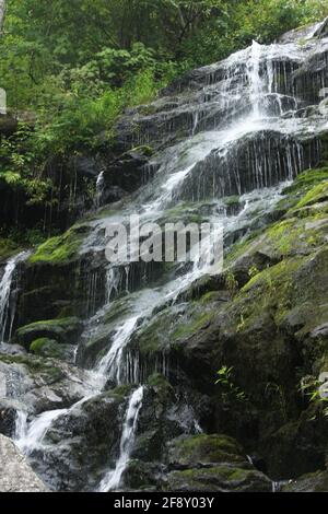 Belle eau de ruisseau frais en cascade sur des rochers. Section des chutes de Crabtree, en Virginie, l'une des plus hautes chutes d'eau de l'est des États-Unis Banque D'Images