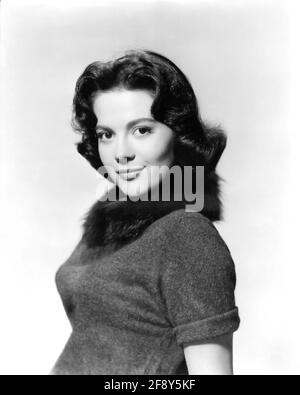 Natalie Wood. Portrait de l'actrice américaine Natalie Wood (b. Natalia Nikolaevna Zakharenko, 1938-1981), studio de publicité tourné, 1958 Banque D'Images