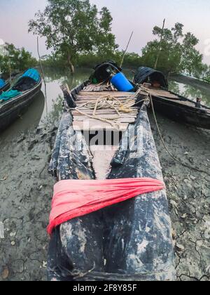 Bateau de pêche, Sunderbans, Bengale-Occidental, Inde Banque D'Images