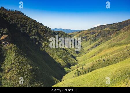 Vallée de Dzukou en hiver, Nagaland, Inde Banque D'Images