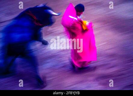 Photographie de Bull Fight avec un mouvement flou, Mexico, Mexique Banque D'Images