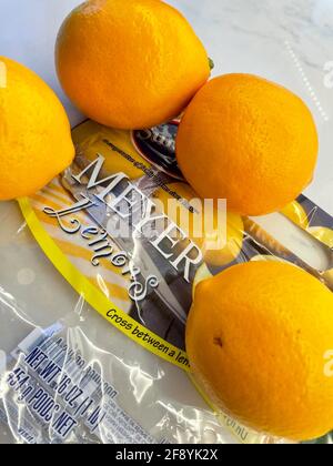 Sac de Meyer Lemons, États-Unis Banque D'Images