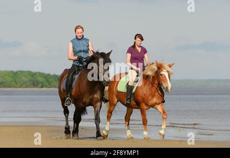 Deux femmes caucasiennes sont à cheval sur la plage près d'une eau. Banque D'Images