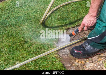 Jardinier arrosoir le bord de la pelouse fraîchement posée avec un flexible Banque D'Images