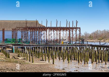 Déconstruction et récupération d'un ancien grenier de l'industrie de la pêche Sur le front de mer de Steveston, en Colombie-Britannique, au Canada Banque D'Images