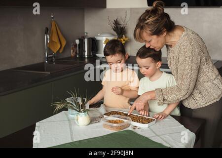 Accueil gardedning activiy pour les enfants jumeaux avec grand-mère dans le cuisine Banque D'Images