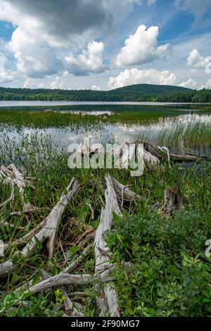 Eagle Lake, l'Acadia National Park, Maine Banque D'Images