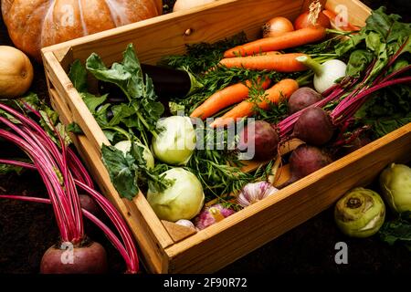 Légumes frais crus mûrs aliments sains dans une boîte en bois fond noir Banque D'Images