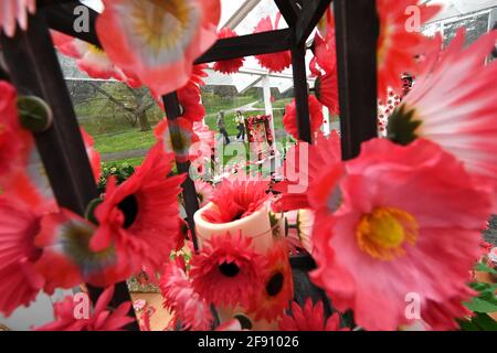 Vue intérieure de "Flower obsession" un affichage interactif où les visiteurs sont invités à placer des autocollants en forme de fleur où ils veulent, dans le cadre de l'exposition "Cosmic nature" de l'artiste japonais contemporain Yayoi Kusama au jardin botanique de New York dans le quartier Bronx de New York, le 15 avril 2021. Les œuvres sélectionnées par l'artiste japonais Yayoi Kusama sont exposées à l'extérieur et à l'intérieur des jardins botaniques de New York, où les visiteurs sont tenus d'acheter des billets à heures fixe et de porter des masques pendant leur séjour dans le parc. (Photo par Anthony Behar/Sipa USA) Banque D'Images