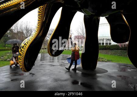 New York, États-Unis. 15 avril 2021. Un visiteur du parc pose à côté de l'artiste japonais Yayoi Kumsa, "la citrouille dansante", dans le cadre de son exposition "nature cosmique" au jardin botanique de New York, dans le quartier Bronx de New York, le 15 avril 2021. L'exposition « nature cosmique » de l'artiste contemporain japonais Yayoi Kusama présente des œuvres à l'extérieur et à l'intérieur des jardins botaniques de New York, où les visiteurs sont tenus d'acheter des billets à heures fixe et de porter des masques pendant leur séjour dans le parc. (Photo par Anthony Behar/Sipa USA) crédit: SIPA USA/Alay Live News Banque D'Images