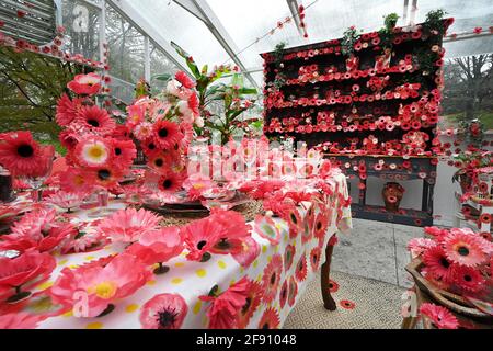 Vue intérieure de "Flower obsession" un affichage interactif où les visiteurs sont invités à placer des autocollants en forme de fleur où ils veulent, dans le cadre de l'exposition "Cosmic nature" de l'artiste japonais contemporain Yayoi Kusama au jardin botanique de New York dans le quartier Bronx de New York, le 15 avril 2021. Les œuvres sélectionnées par l'artiste japonais Yayoi Kusama sont exposées à l'extérieur et à l'intérieur des jardins botaniques de New York, où les visiteurs sont tenus d'acheter des billets à heures fixe et de porter des masques pendant leur séjour dans le parc. (Photo par Anthony Behar/Sipa USA) Banque D'Images