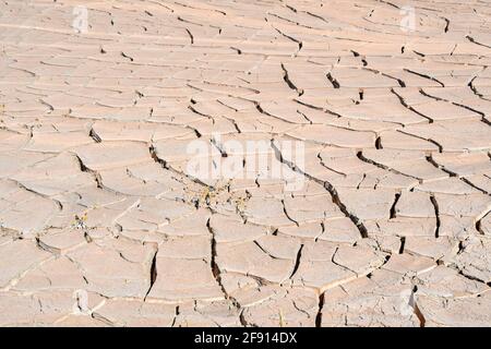 Vue naturelle sur les sols fissurés lors d'une sécheresse à El Paso, Texas Banque D'Images