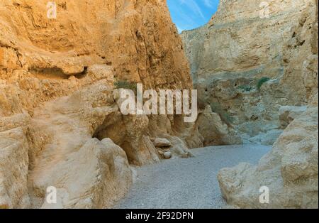 canyon du lit des OG à l'aube en Israël Banque D'Images