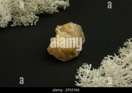 Chalcédoine de Madagascar. Pierre minérale naturelle sur fond noir entouré de mousse. Minéralogie, géologie, magie, pierres semi-précieuses et Banque D'Images