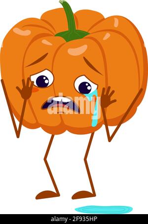 Personnages de citrouille avec pleurs et larmes émotions, visage, bras et jambes. Le drôle ou triste héros, orange légume d'automne. Halloween Illustration de Vecteur