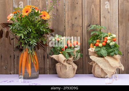 Bouquet bio biologique original avec fleurs et carottes et mûres Tomates cerises poussant dans UN pot sur une table Banque D'Images