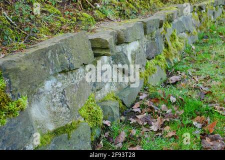 Mur en pierre de grandes pierres sombres surcultivées de vert mousse Banque D'Images