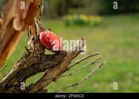 Petits oeufs rouges de Pâques cachés dans un jardin de printemps prêt à être trouvé. Œufs de chocolat recouverts de feuilles de couleur vive perchés dans les plantes autour du jardin. Banque D'Images