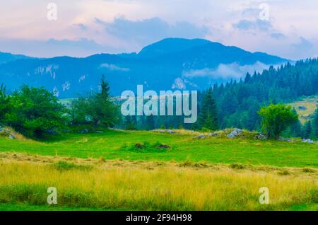 Montagnes de Rhodope en Bulgarie Banque D'Images