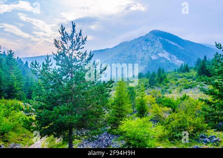 Montagnes de Rhodope en Bulgarie Banque D'Images