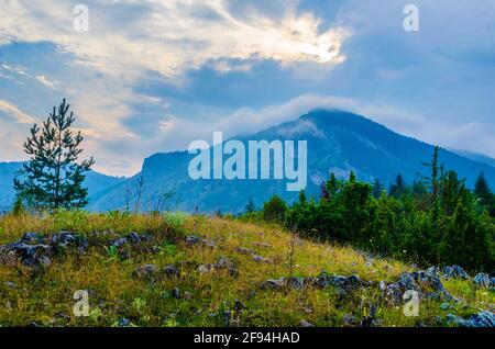 Montagnes de Rhodope en Bulgarie Banque D'Images