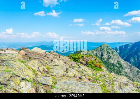 Parc national central des Balkans en Bulgarie Banque D'Images