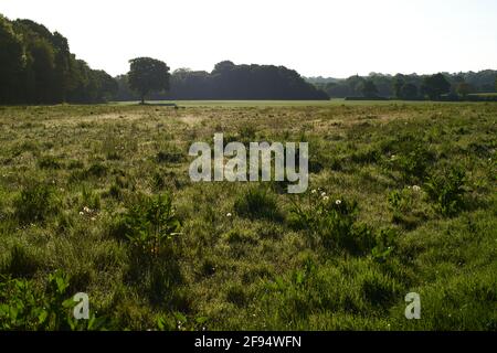 Terres agricoles au nord de Horsham dans West Sussex appartenant à Legal Et général avec des plans pour construire un parc d'affaires Cette terre juste à côté de l'A264 Banque D'Images