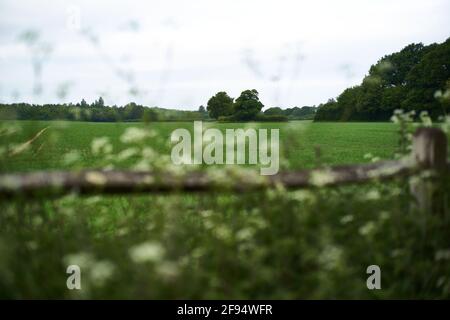 Terres agricoles au nord de Horsham dans West Sussex appartenant à Legal Et général avec des plans pour construire un parc d'affaires Cette terre juste à côté de l'A264 Banque D'Images