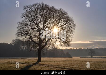 Terres agricoles au nord de Horsham dans West Sussex appartenant à Legal Et général avec des plans pour construire un parc d'affaires Cette terre juste à côté de l'A264 Banque D'Images