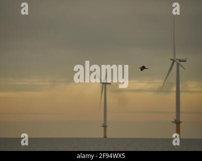 Redcar UK, décembre 2018 - l'espoir de Redcar pour l'avenir, un grand parc éolien proche de la côte à énergie verte - la prochaine étape de l'histoire industrielle de la région Banque D'Images